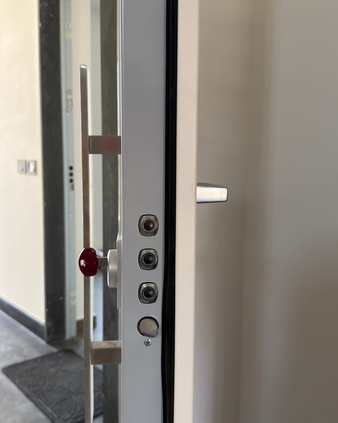Dettaglio deviatori porta blindata